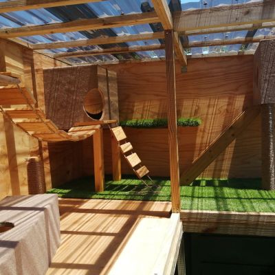 Funky Yet Functional