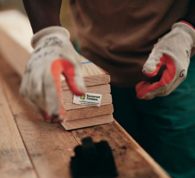 What Do Markings On Treated Timber Tell Us?