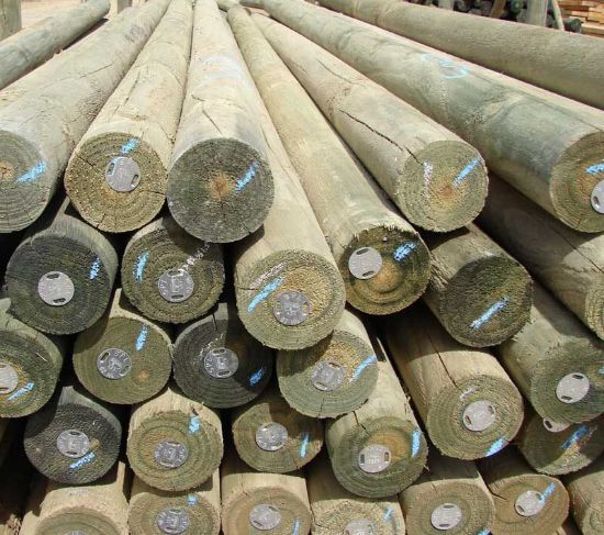 Picture of SABS Pine Pole 120/139mm CCA H4 Trt 6.0m