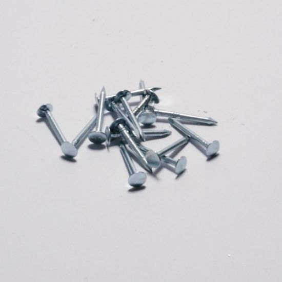 Picture of Clout Nails  40mm (1kg Pack)